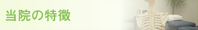 トリニティカイロプラクティック新横浜 当院の特徴